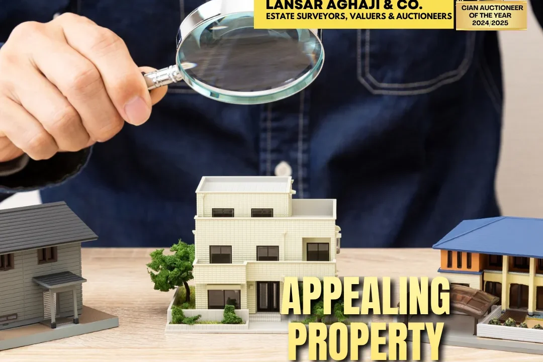 appealing property assessment
