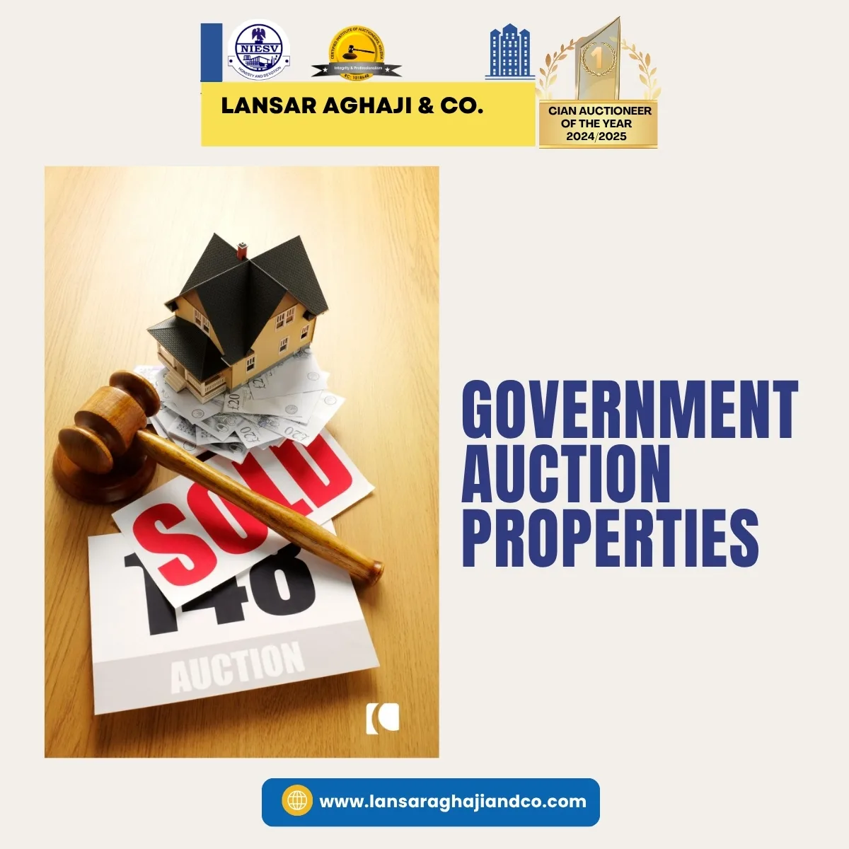 What Are Government Auction Properties?