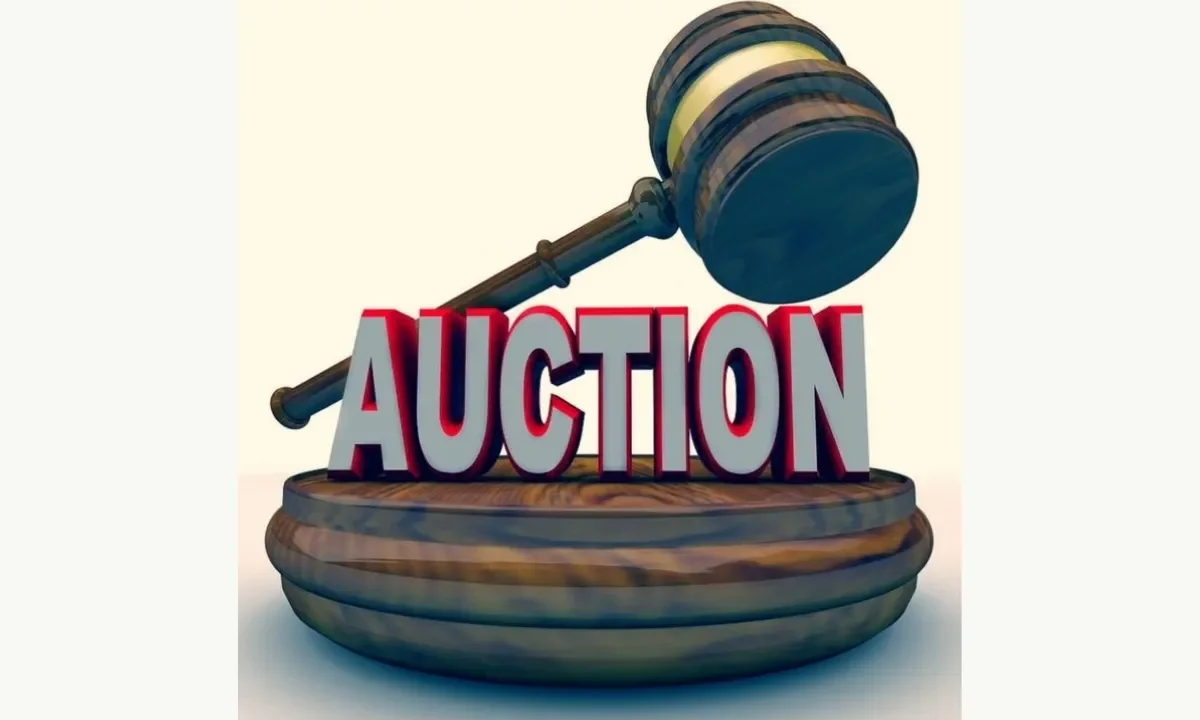 profitable auction opportunities